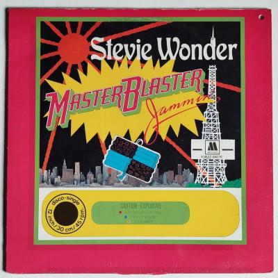 Stevie wonder master baster maxi single vinyle occasion
