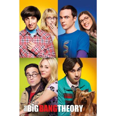 Big bang theory mosaic poster 61x91cm
