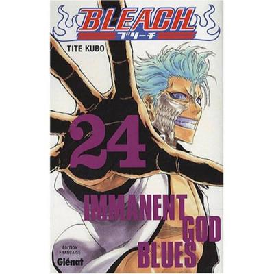 Bleach tome 24