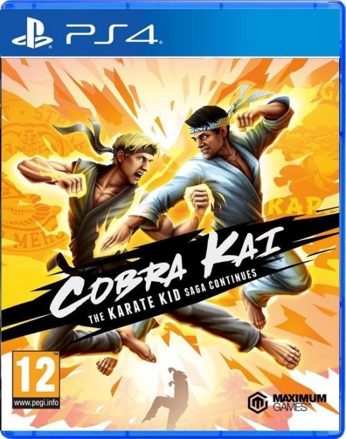 Cobra kai the karate kid saga continues 1