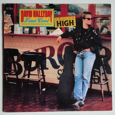 David hallyday true cool album vinyle occasion