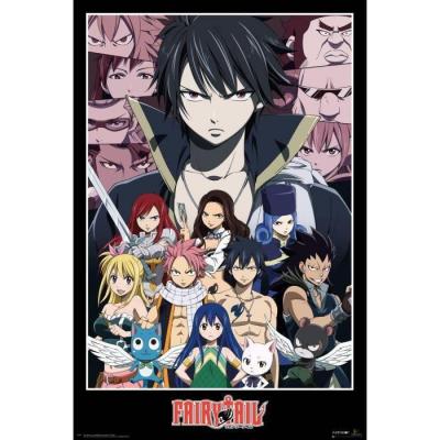 Fairy tail groupe poster 61x91 5cm