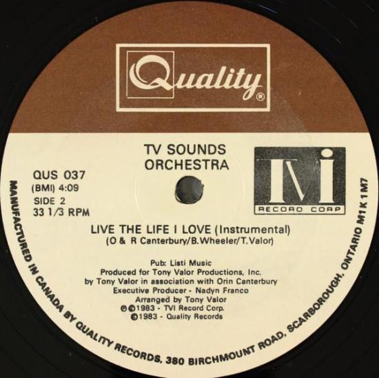 Fantasy live the life i love maxi single vinyle occasion 1