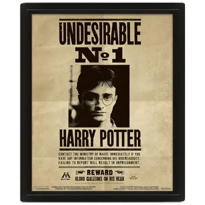 Harry potter 3d lenticular poster 26x20 potter sirius