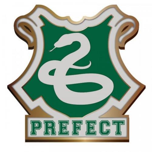 Harry potter badge en email pin s slytherin perfect