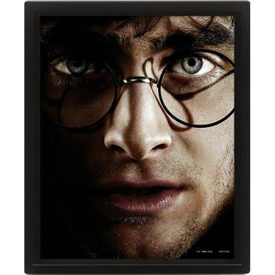 Harry potter harry vs voldemort poster lenticulaire 3d 26x20cm