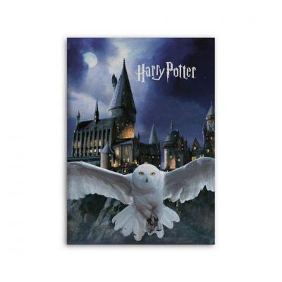 Harry potter hedwige plaid polaire 100 microfibre 70x140cm