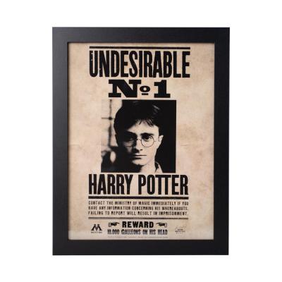 Harry potter indesirable n 1 collector print 30x40cm