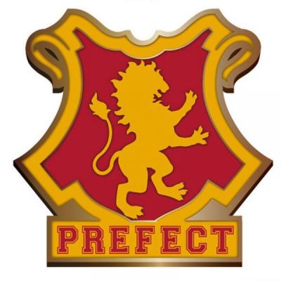 Harry potter pin badge enamel gryffindor perfect