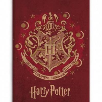 Harry potter plaid polaire 100 microfibre 70x140cm hogwarts