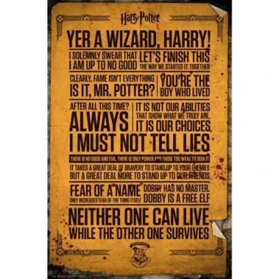 Harry potter poster 61x91 quotes