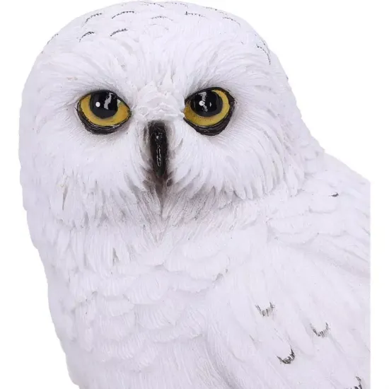 Hibou familier du sorcier figurine 10cm 4