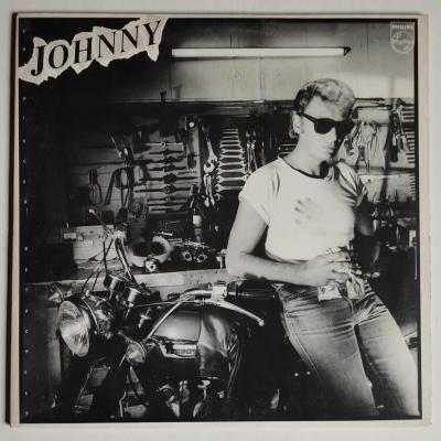 Johnny hallyday en pieces detachees album vinyle occasion