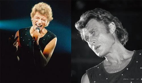 Johnny hallyday sur scene livre occasion 3