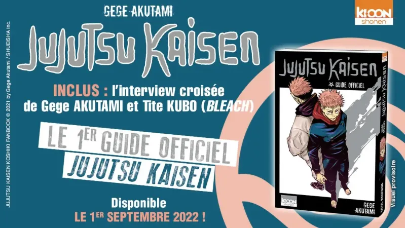 Jujutsu kaisen guide anime