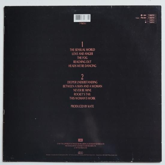 Kate bush the sensual world album vinyle occasion 1