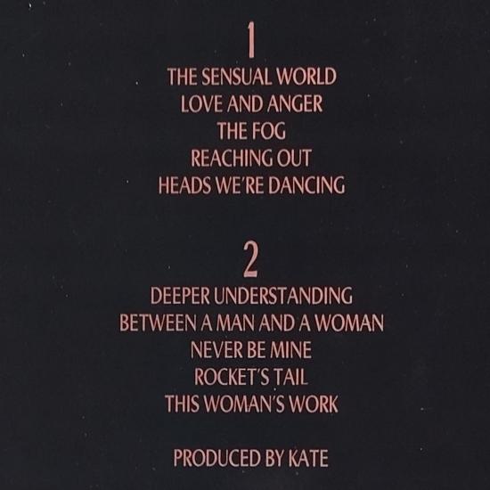 Kate bush the sensual world album vinyle occasion 2