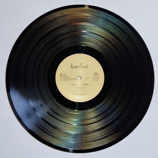 Kate bush the sensual world album vinyle occasion 4