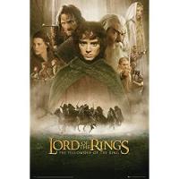 Lord of the rings poster 61x91 fellowship of the ring 1