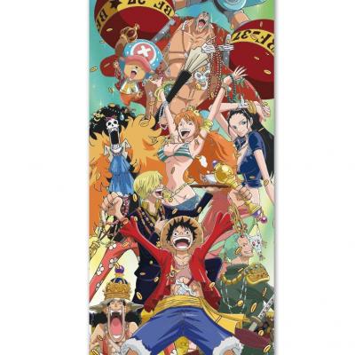 One piece poster de porte 53x158