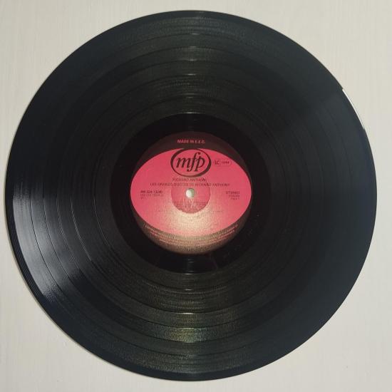 Richard anthony ses plus grands succes album vinyle occasion 2