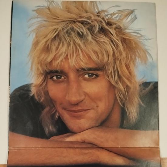 Rod stewart blondes have more fun album vinyle occasion 1