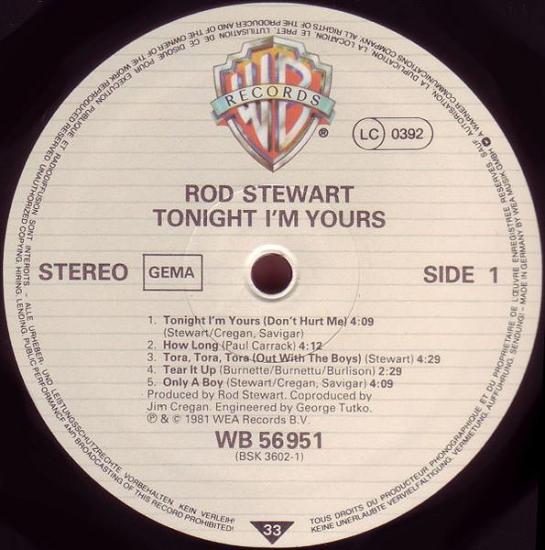 Rod stewart tonight i m yours album vinyle occasion 3