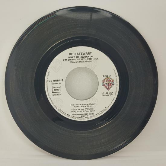 Rod stewart what am i gonna do i m so in love with you single vinyle 45t occasion 2