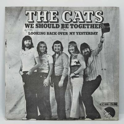 The cats we shpuld be together single vinyle 45t occasion