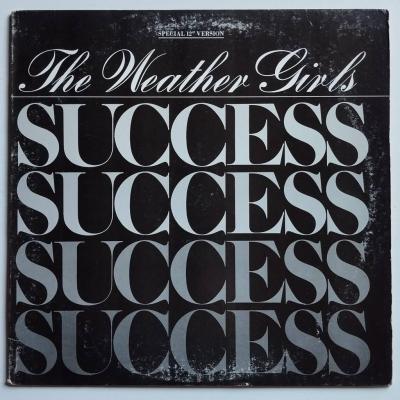 The weather girls succes maxi single vinyle occasion