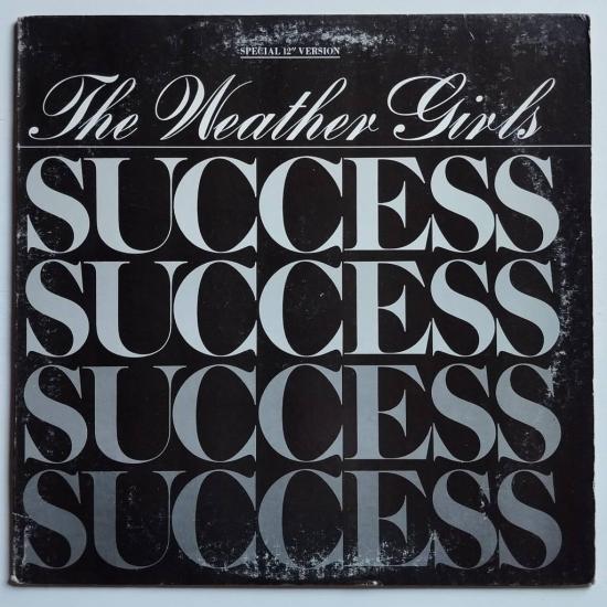 The weather girls succes maxi single vinyle occasion