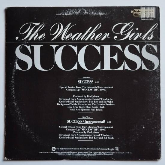 The weather girls succes maxi single vinyle occasion 1
